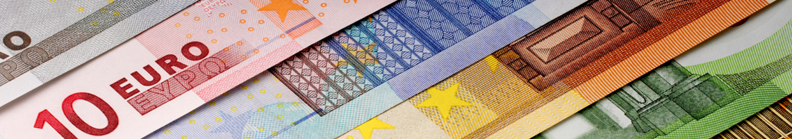 Poznaj subfundusz: Generali Euro